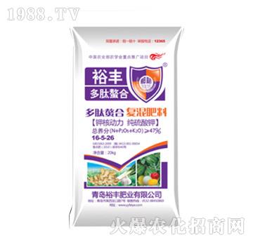 �������Ϗ�(f��)�����16-5-26-ԣ�S