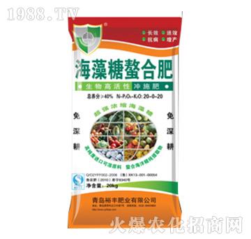 ���������Ϸʣ����w�_ʩ�ʣ�-ԣ�S