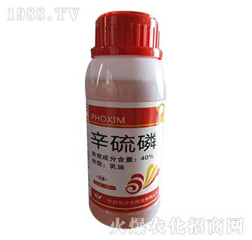 40%������-�����r(n��ng)�I(y��)