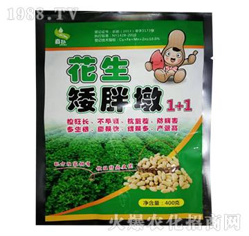 �������ֶ�1+1-�����r(n��ng)�I(y��)