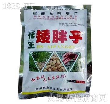 ����������-�����r(n��ng)�I(y��)