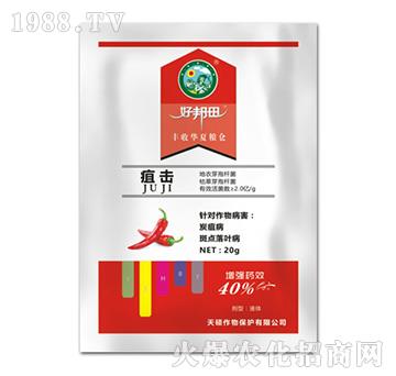 �ғ�-�ð���-��T����