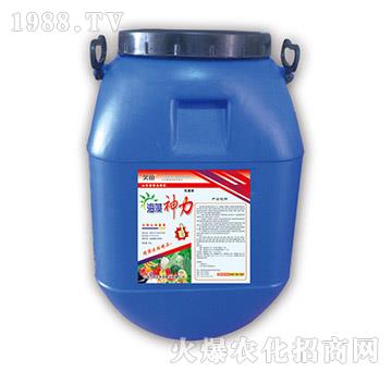 ��������-Ц��