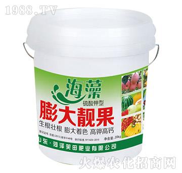 ��������n��-Ц��