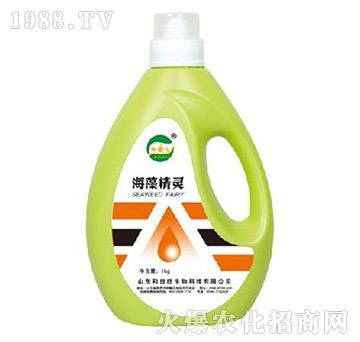 海藻精靈-和田旺生物