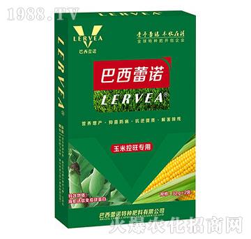 ���׿��������~���-�������Z