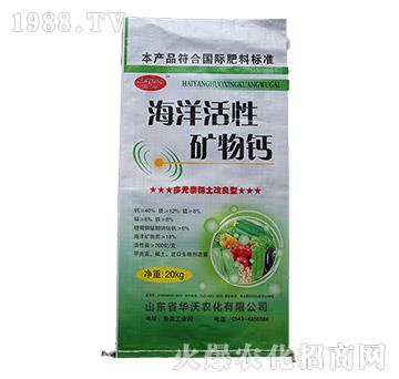 ������ԵV���}-�A���r(n��ng)��