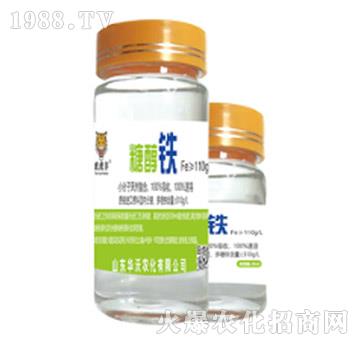 �Ǵ��F-�A���r��