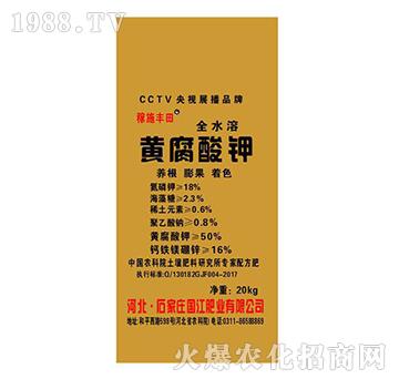 �S�����-�����ʘI(y��)