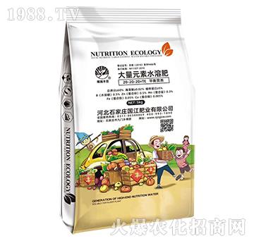 ����Ԫ��ˮ�ܷ�20-20-20-��(gu��)���ʘI(y��)