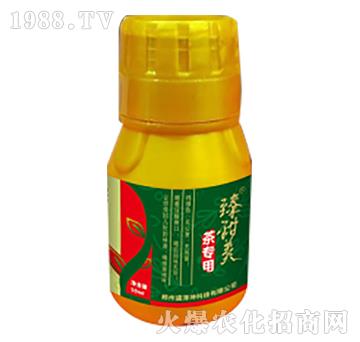 �茣��-������-ʢ����