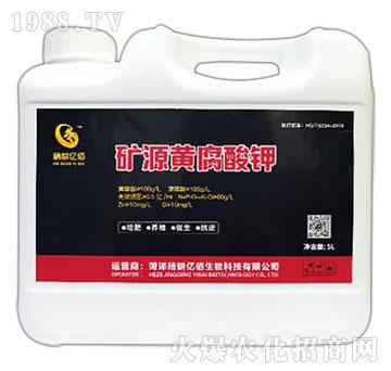 �VԴ�S�����-�����|��