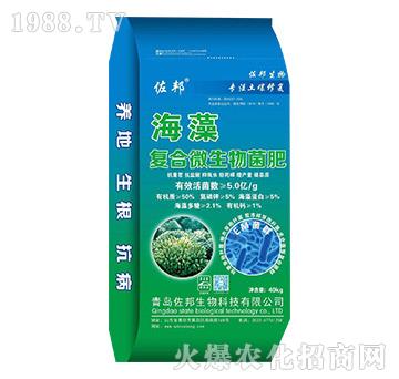 ����ͺ�΢�������-����