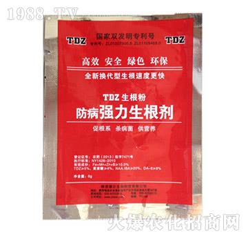 ��������������-� �����