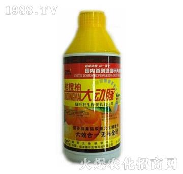 �۳��ִ���}-� �����