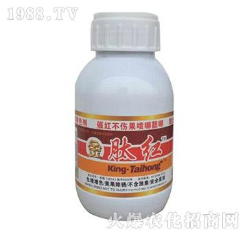 ���ļt-��?t��ng)����? />
                                </div>
                            </div>
                            
                            <style type=