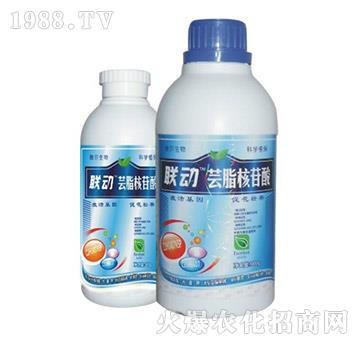 �|֬������-(li��n)��(d��ng)-� �