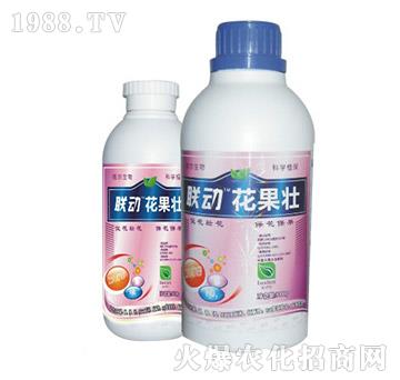 ������-(li��n)��(d��ng)-� �����