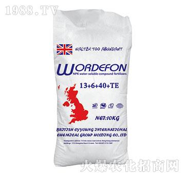 ��Ԫ��ˮ�ܷ�13-6-40+TE-�ֵ��S-���r���I(y��)