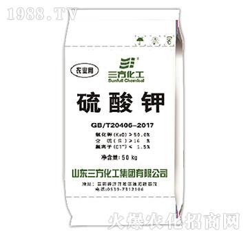 50%��ĩ�����-����