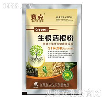 ���������-ِ��-�_�_