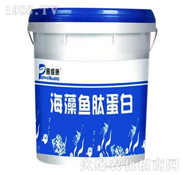 �����~⁵���-�վS��-�_�_(d��)