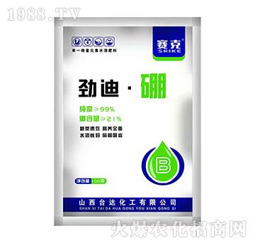 �ŵϡ���-ِ��-�_�_