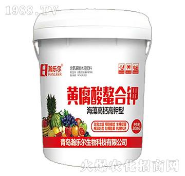 �S���������-嫘���