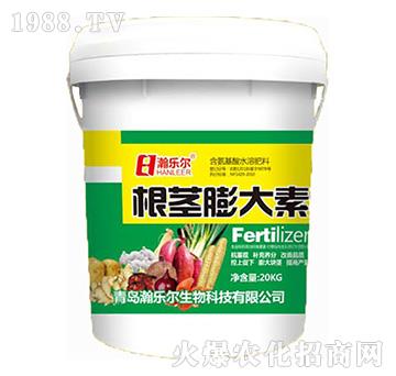 ���o�����-嫘���