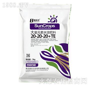 ����Ԫ��ˮ�ܷ���20-