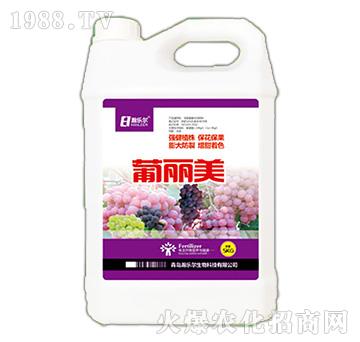 ������-嫘���