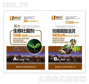 �����������焩+������