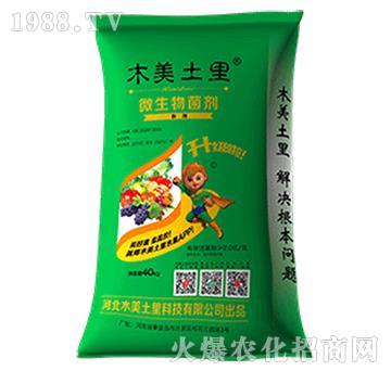 ΢����������G��-ľ������