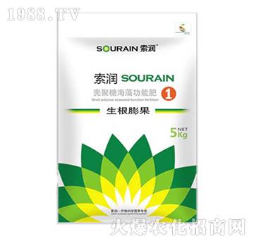 �����Ǻ��幦�ܷ�-����(r��n)1̖(h��o)-����