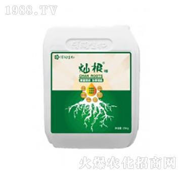 ����Ԫ��ˮ�ܷ���-�N��1̖(h��o)-�ɝ�(r��n)