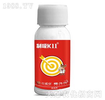 5%��x(ch��ng)��-����K11-��ֲ��