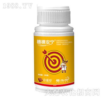 20%���S�����x(ch��ng)��-���밲��-��ֲ��