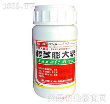 ���o�����-�˱�-���S��