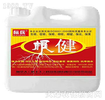 ����-�˱�-���S��