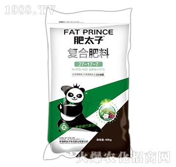 ��(f��)�Ϸ���27-17-7-��̫��