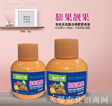 ����n��-ʩ����