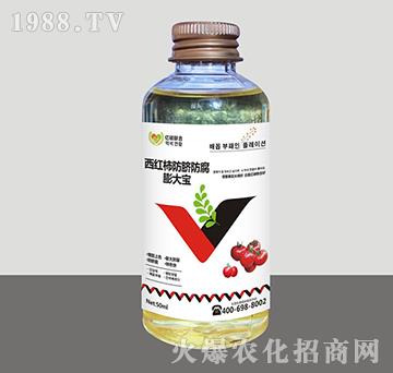 ���t����Ě����-���-�R�Sֲ��