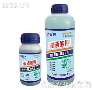 �����Ɓ������40-5