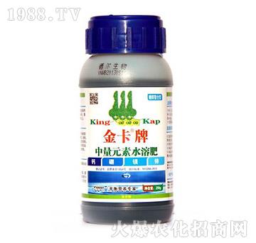 ����Ԫ���}���V�\-��