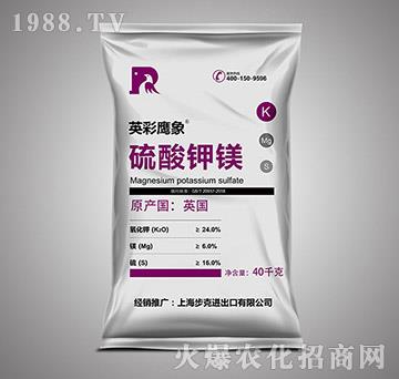 ������V-Ӣ������-����