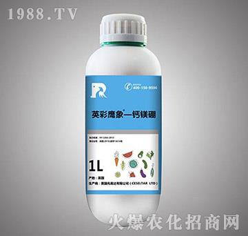 �}�V��-Ӣ������-����