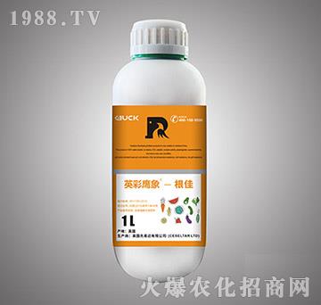 ����ֲ��ˮ�ܷ���-����-Ӣ������-����