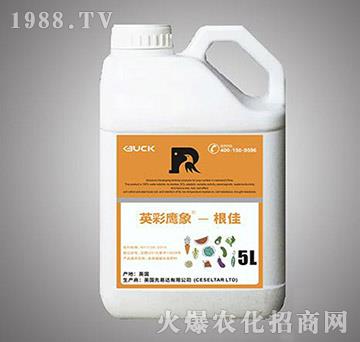 Ͱ�b����ֲ��ˮ�ܷ���-����-Ӣ������-����