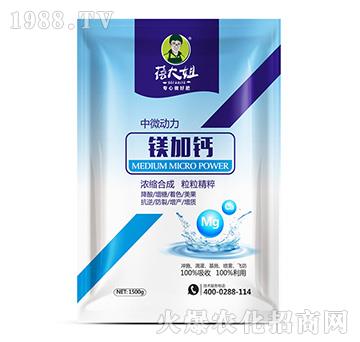 ��΢��(d��ng)��-�V���}-�����