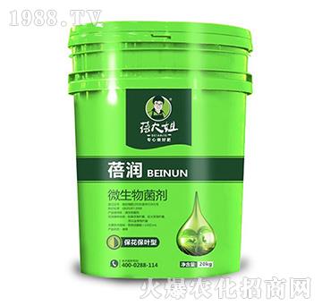 �������~��΢�������-�흙(r��n)-�����